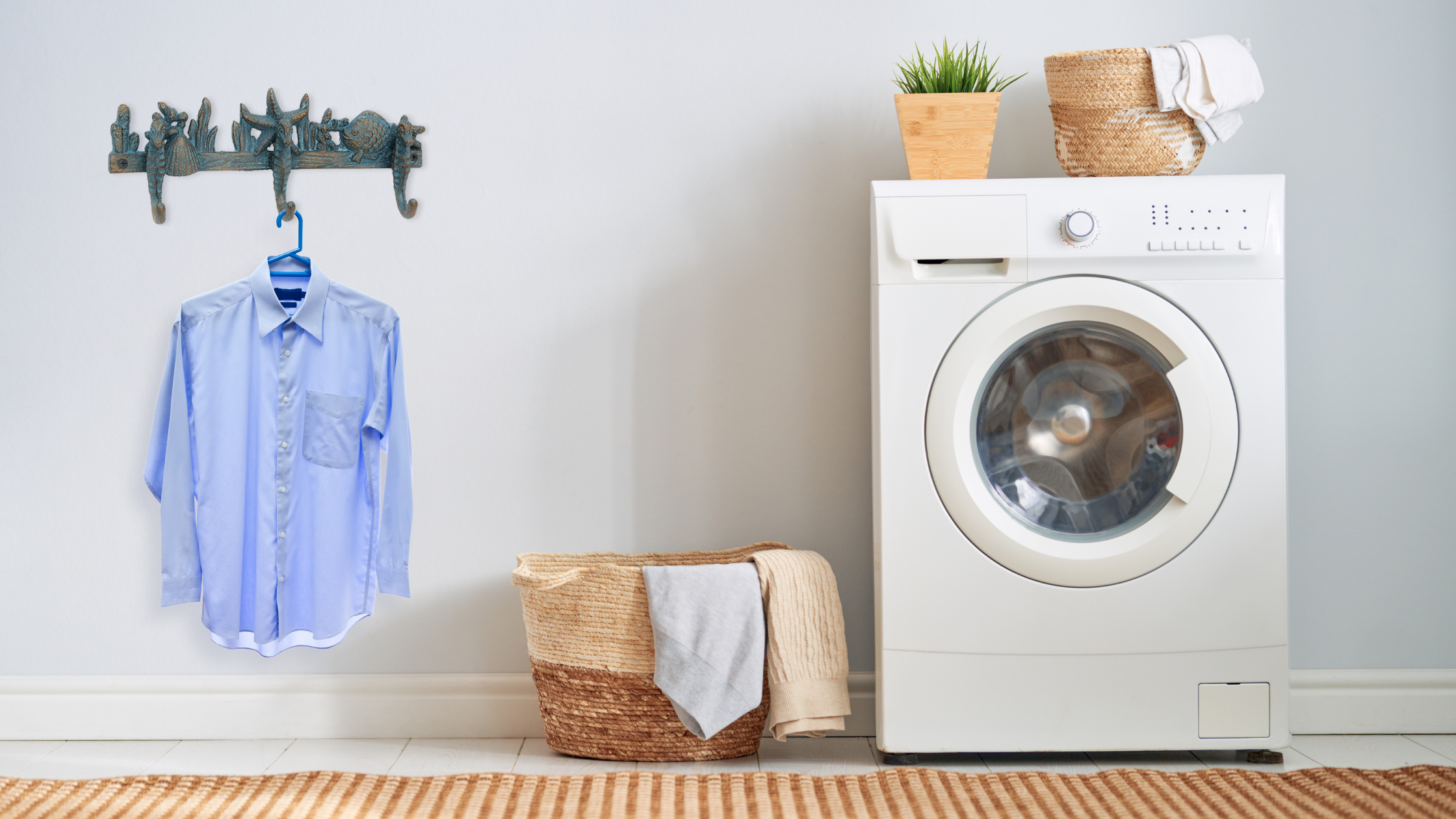 Seashell hooks laundry room