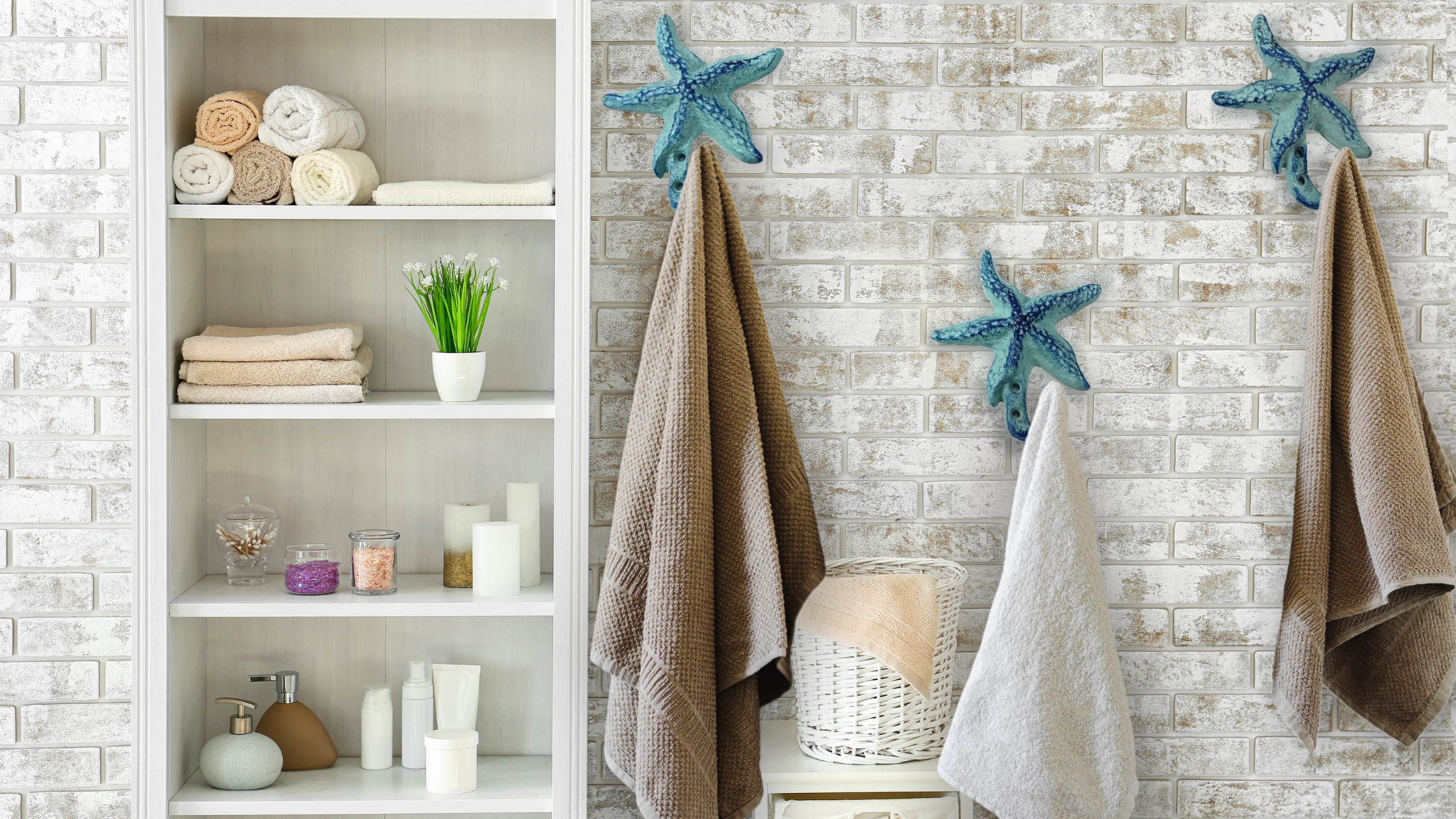 starfish wall hooks