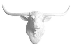 Texas Longhorn Cow Head