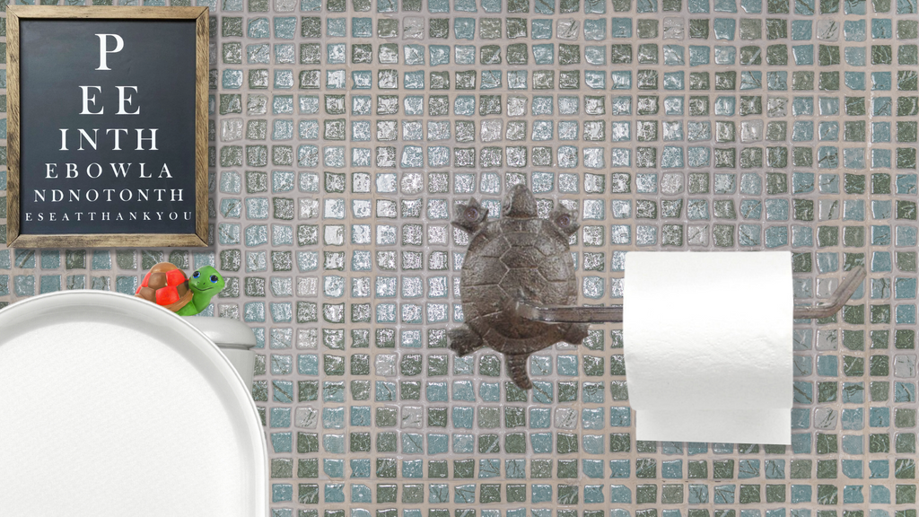 Turtle Toilet paper holder