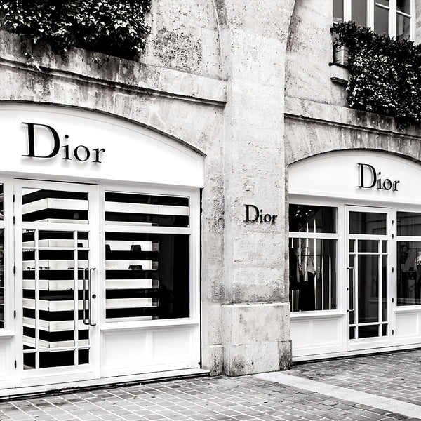 Dior Fashion Print
