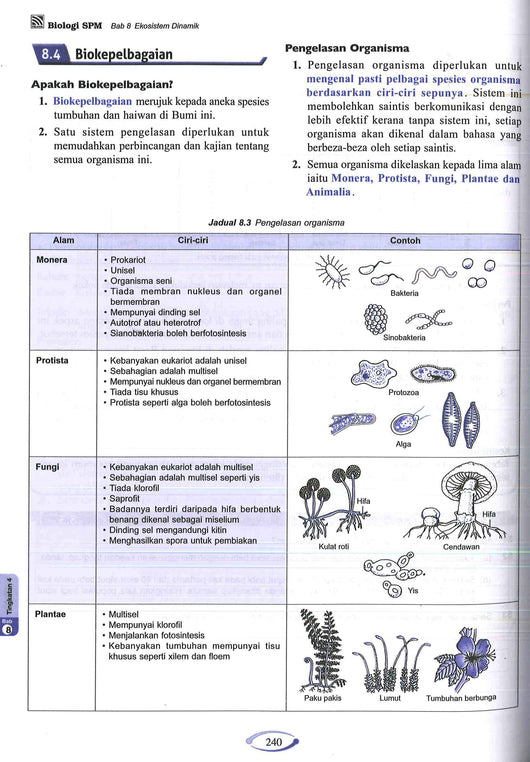 Focus Spm Biologi Tingkatan 4 5 Buddy Bookstore