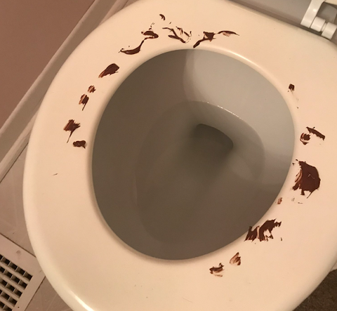 A toilet with the lid up and seat down. Nutella is spread on the seat to look like poop.