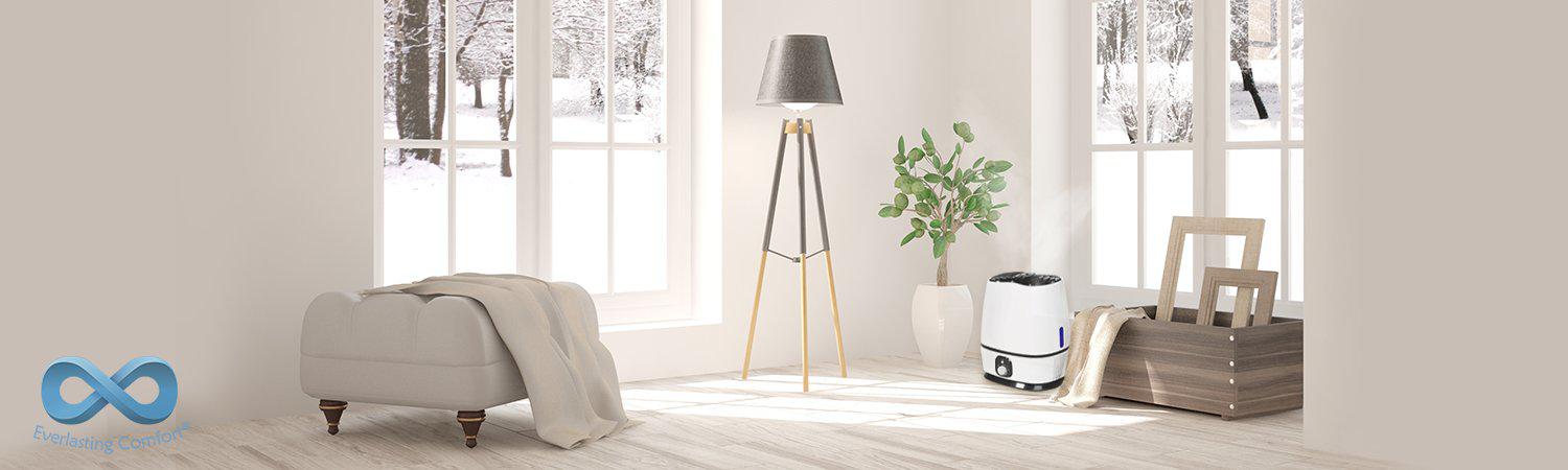 Why You Should Use a Humidifier for Winter