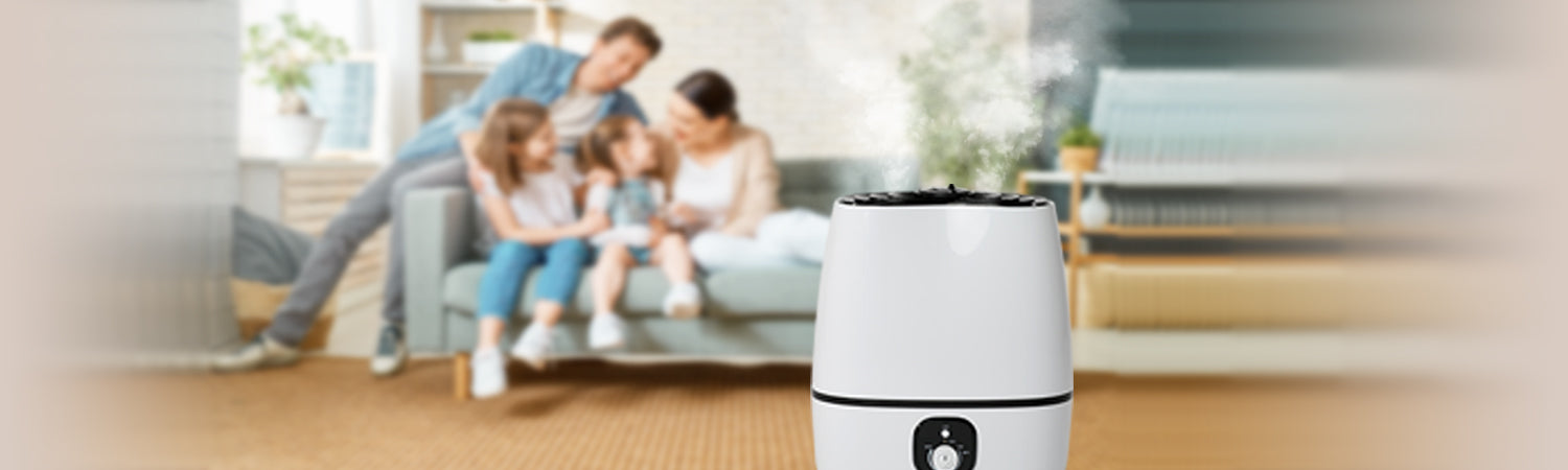 What Types of Humidifiers Are the Best?
