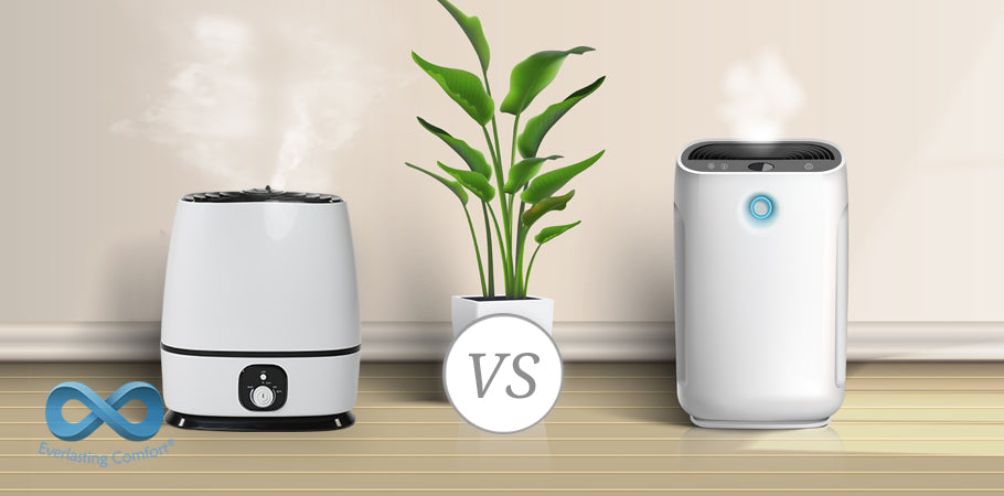 Cool Humidifier vs Warm Humidifier