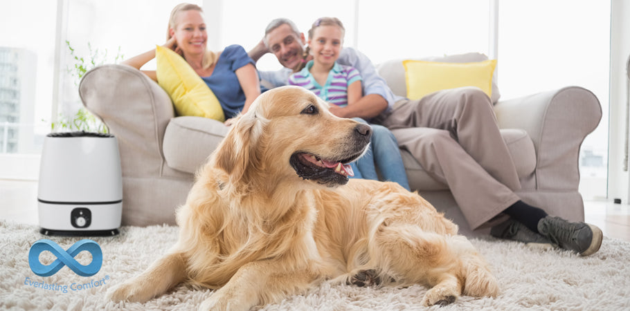 happy family with a big dog