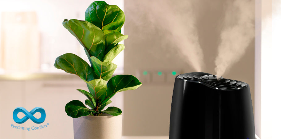 humidifier and flower on the table