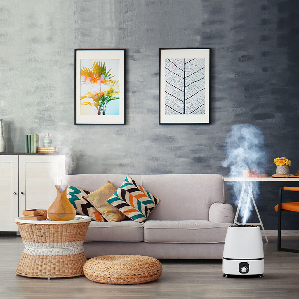humidifier and oil diffuser in the living room
