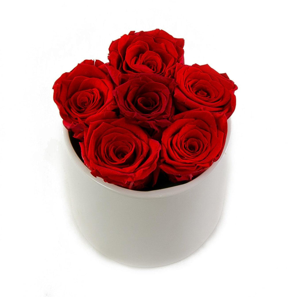 Red Preserved Roses White Ceramic Round Vase Flovery