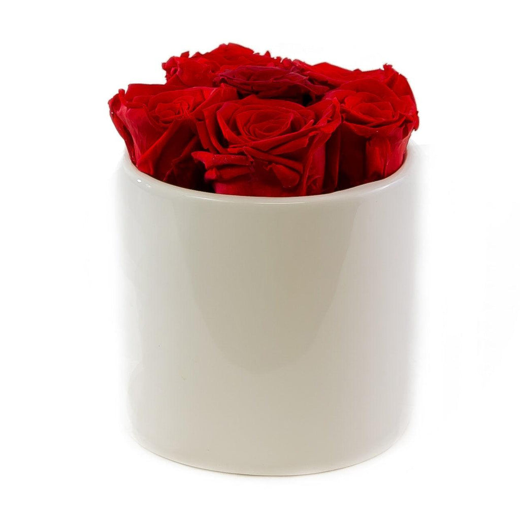 Red Preserved Roses White Ceramic Round Vase Flovery