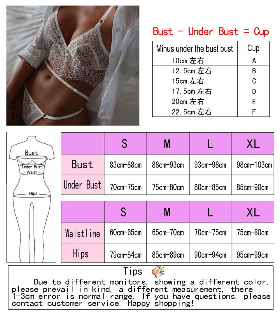 Women Lady Cute Underwear Satin Lace Embroidery Bra Sets With