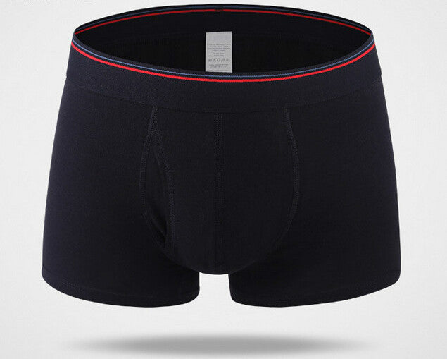 Wolf Panties, Wolf Underwear, Briefs, Cotton Briefs, Funny Underwear,  Panties for Women -  Canada