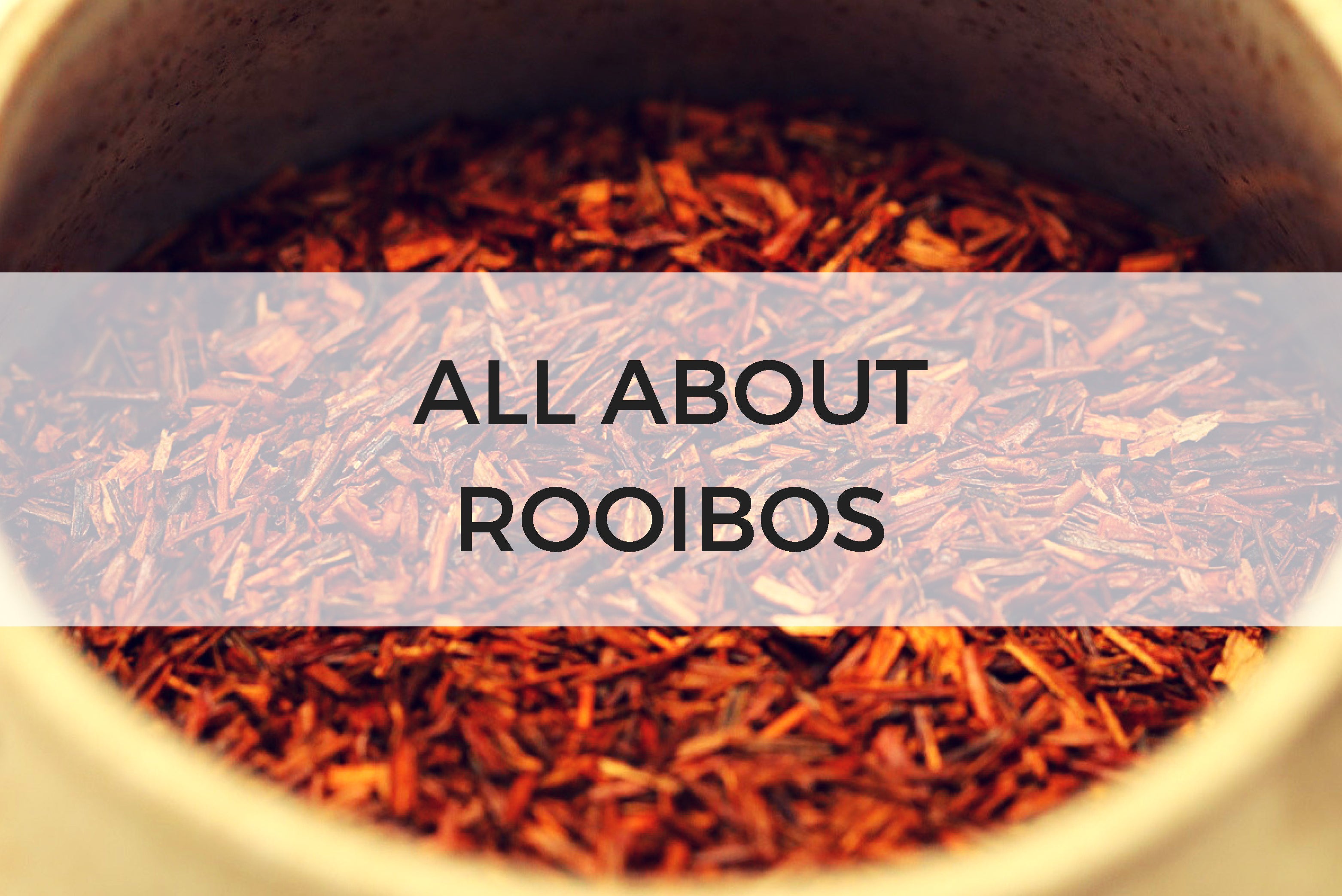 All About Rooibos – Sips by