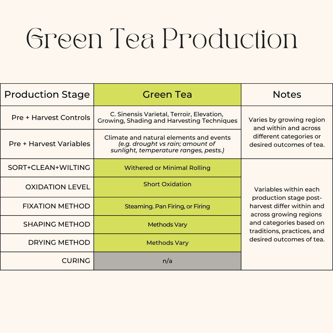 Green Tea Production Infographic