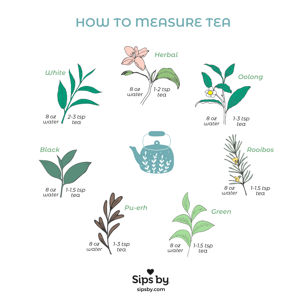 Learn how to measure tea from Sips by