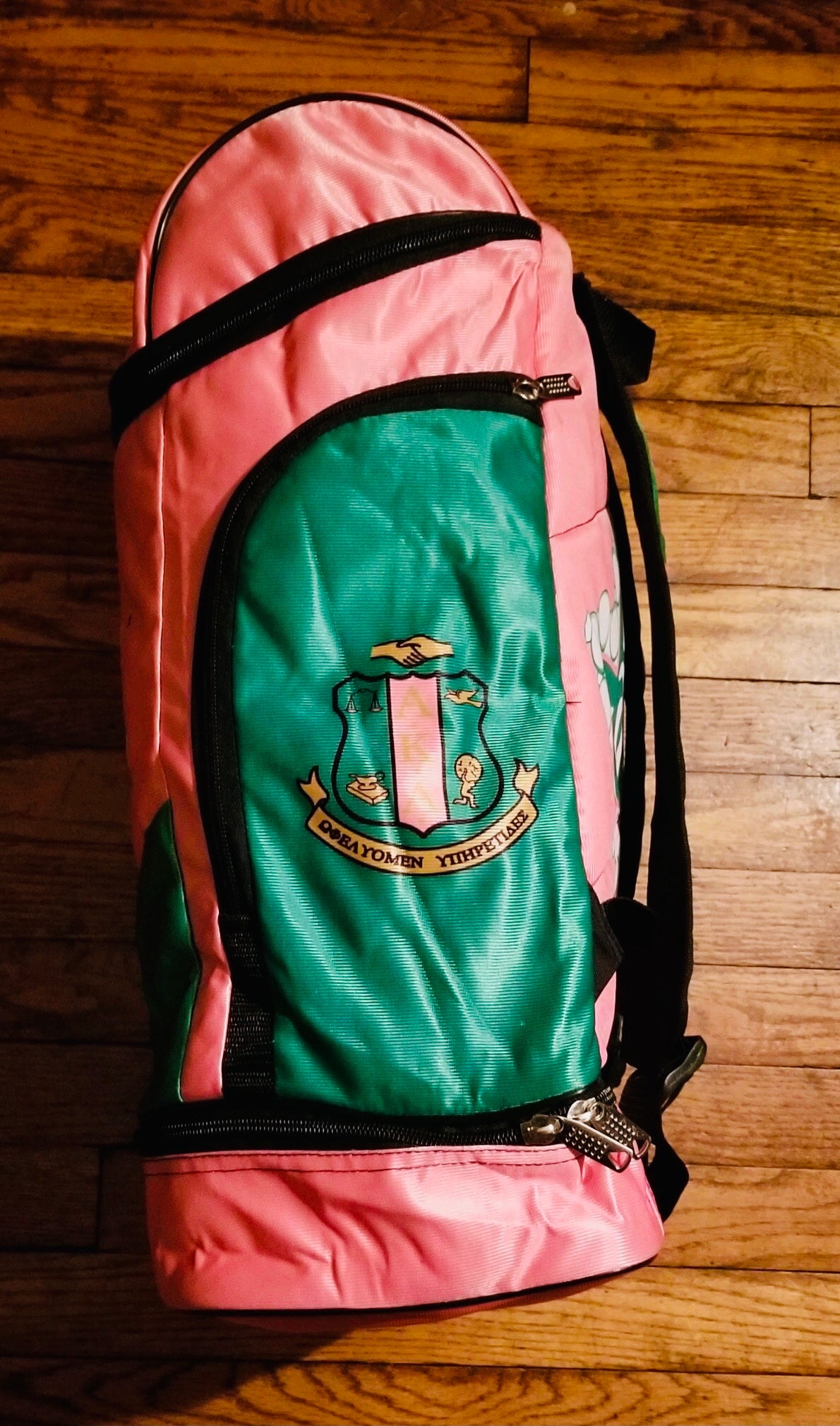 Alpha Kappa Alpha Backpack | The King McNeal Collection