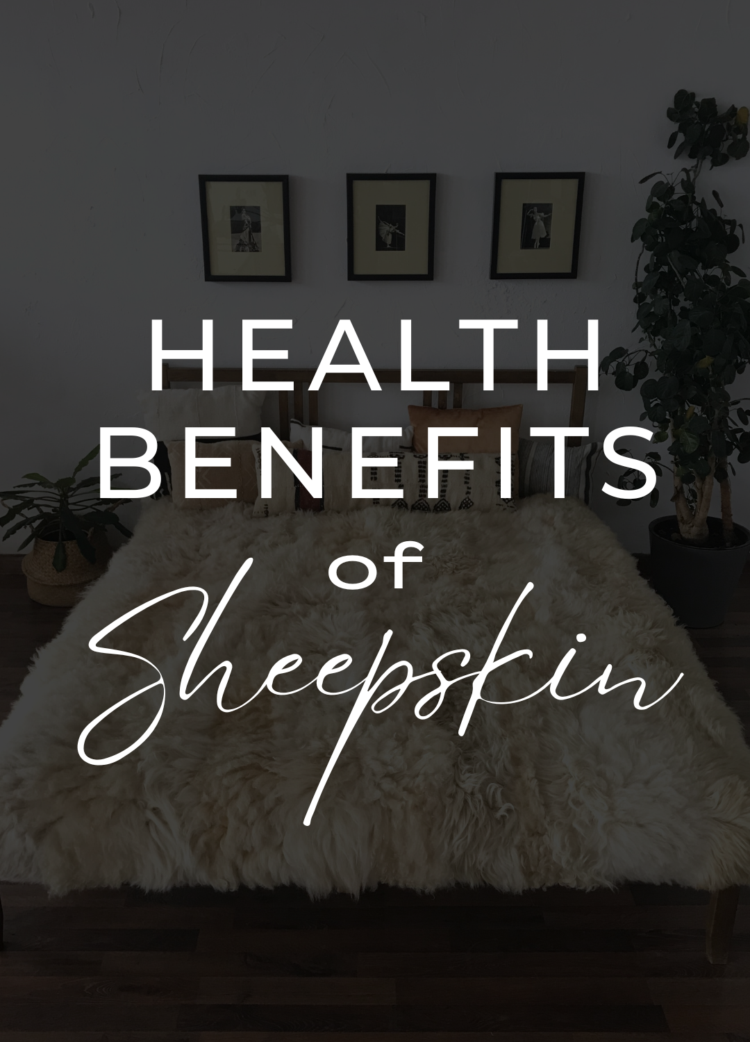 6 Reasons to Invest in our Double Sheepskin Rug– East Perry