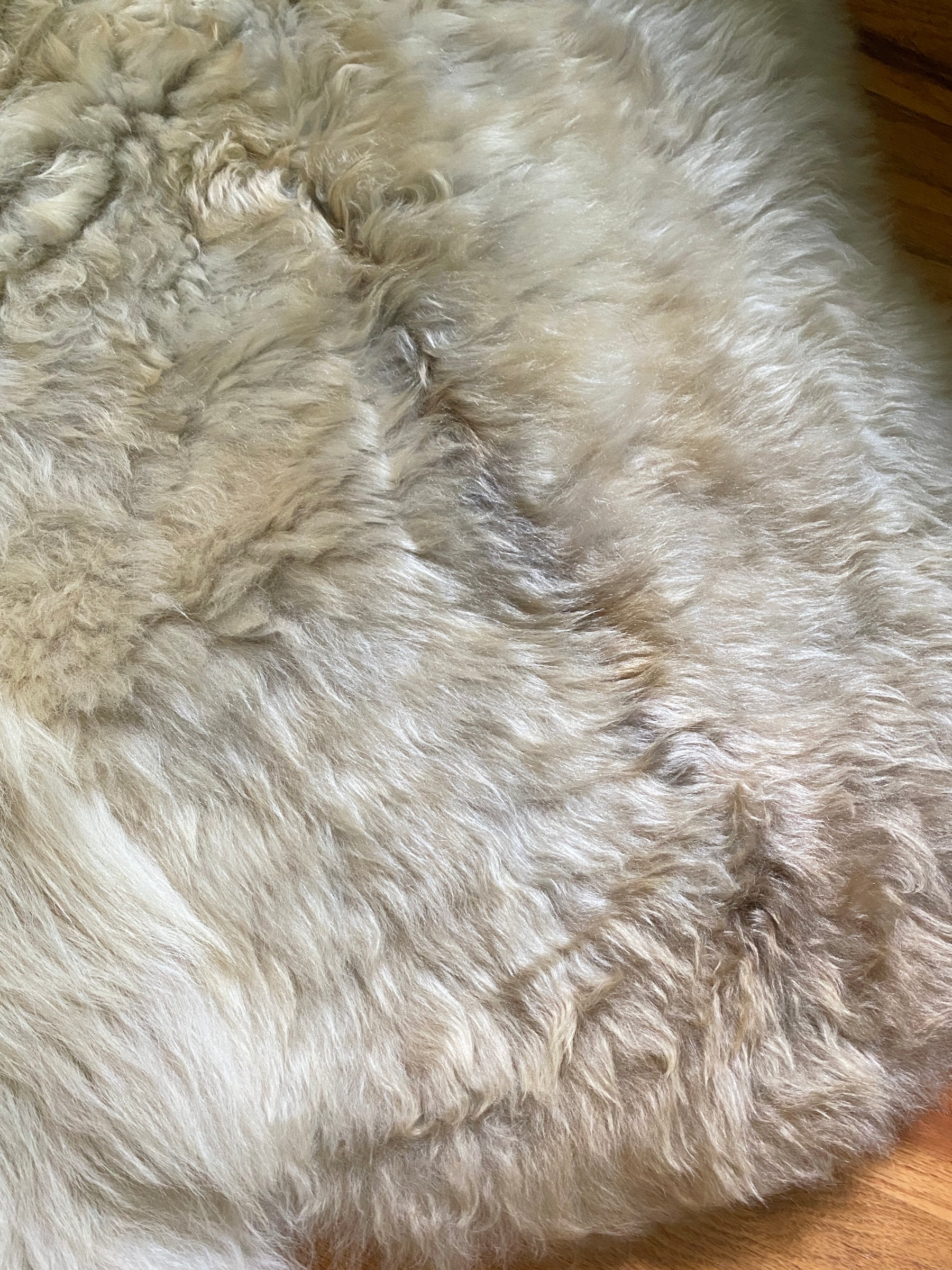 Sheepskin Area Rug– East Perry