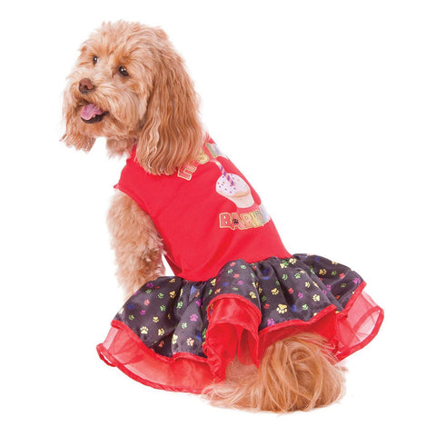 Rubies Hocus Pocus Mary Pet Costume Large