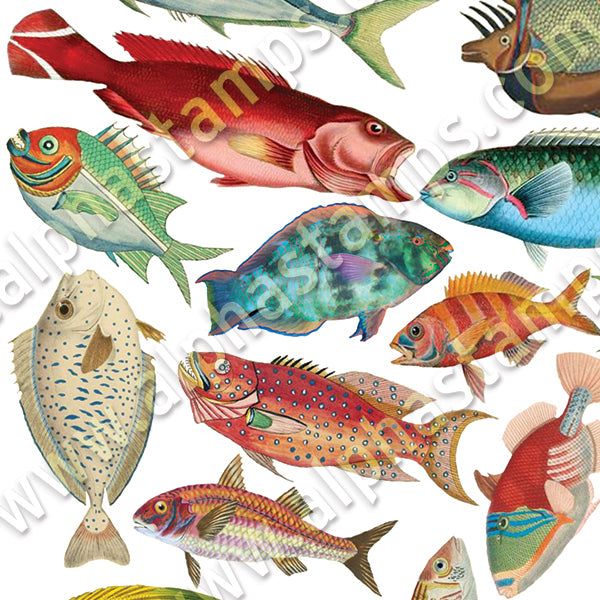 Colorful Fish Collage Sheet | Alpha Stamps