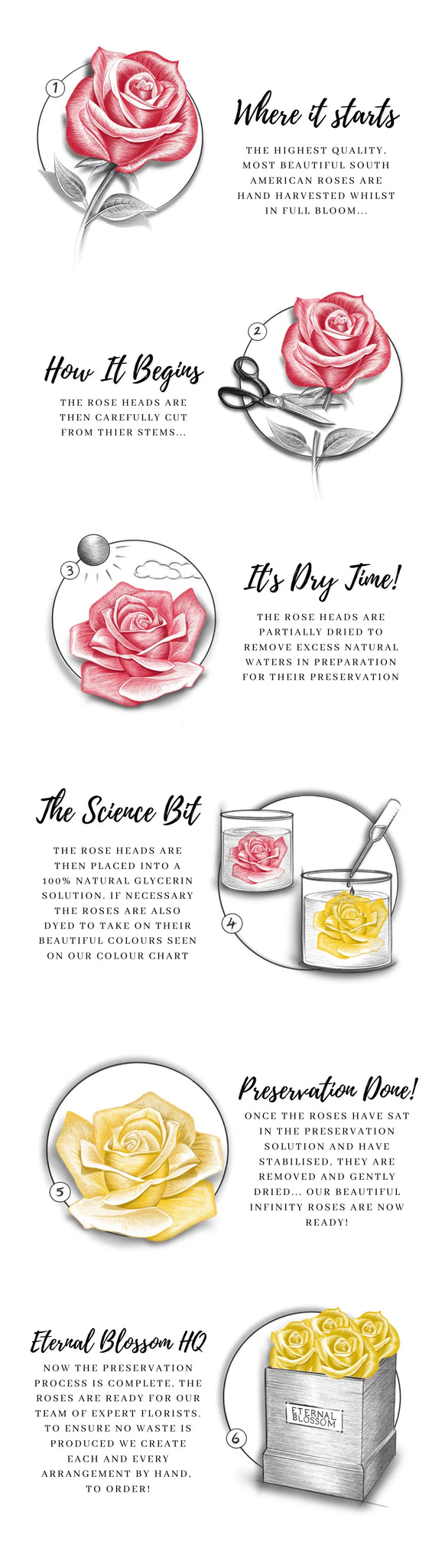 eternal rose preservation process