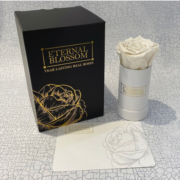 Preserved rose & gift box - eco friendly flower options!