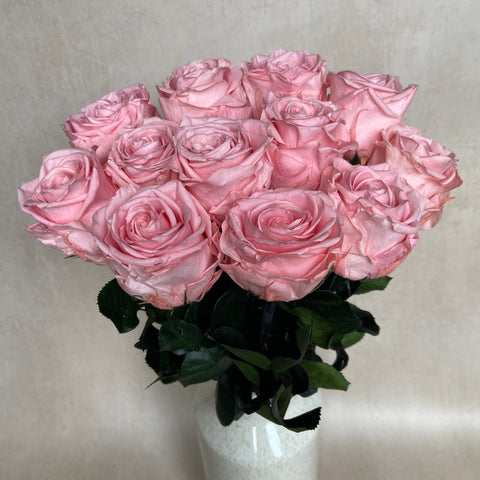 pink eternal roses