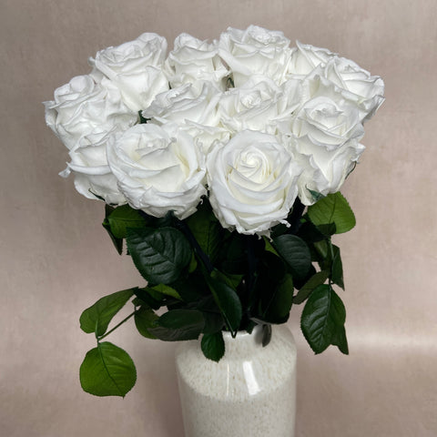 white eternal roses