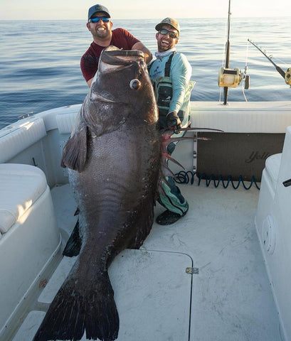 Grouper Fishing