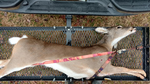 The Second Deer the Wyatt Family Took Down