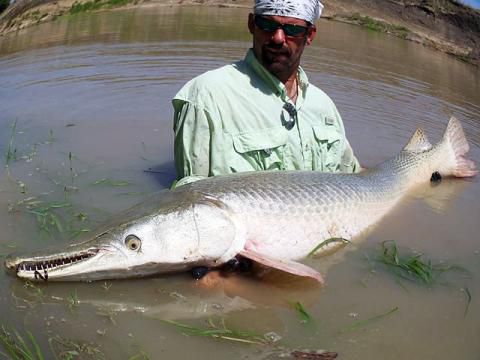Monster Gar Was Caught in the Murky Texas Waters