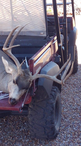 New Mexico Buck