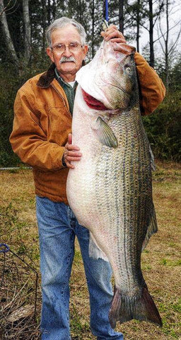 Holding Up His Trophy Catch