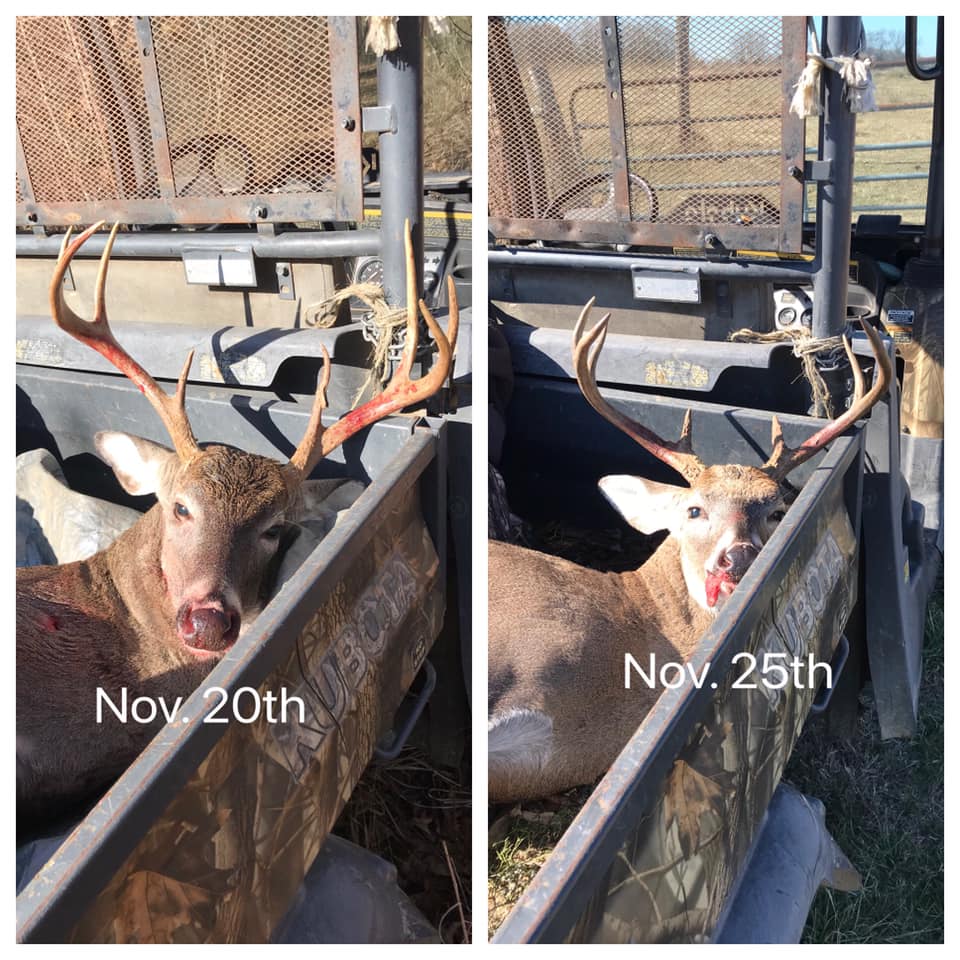 david newburn tags out with two whitetail deer bucks