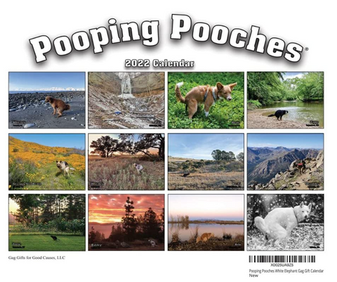 Pooping Pooches Weird Calendar