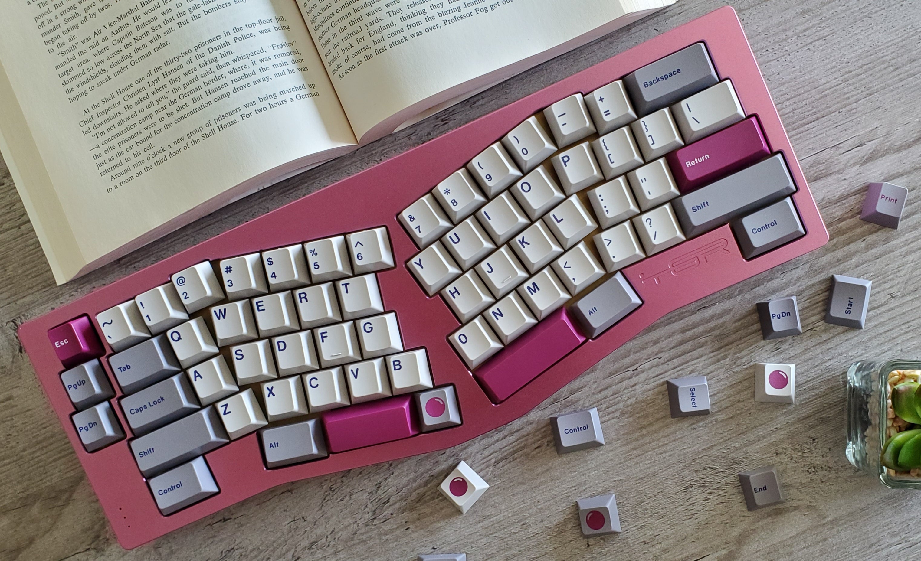 GMK DMG on Alice TRG with book and plant