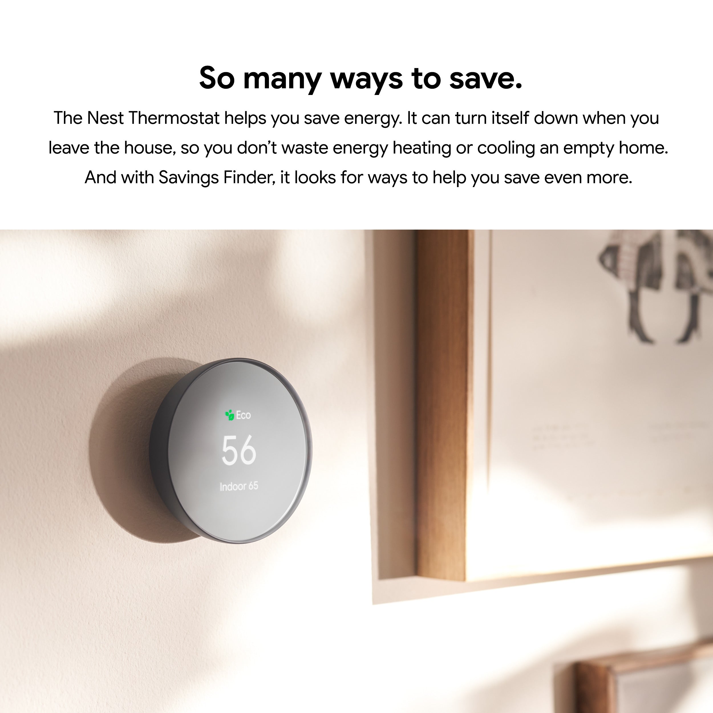 Nest Thermostat, Fog DTE Energy Marketplace Energy Efficiency Store