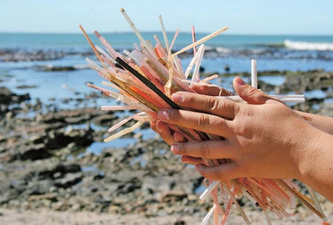 single use plastic straws found at the beach