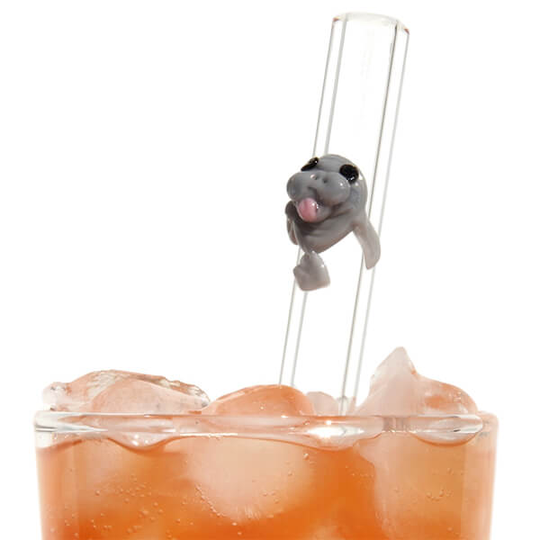 Mini Sippers Glass Drinking Straws – Hummingbird Glass Straws