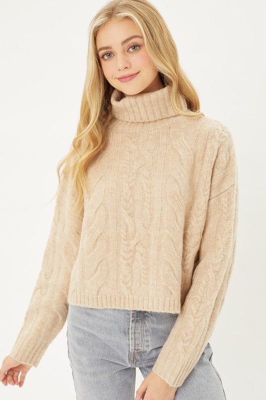 Cable Turtleneck