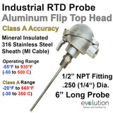 RTD Probe with Connection Head