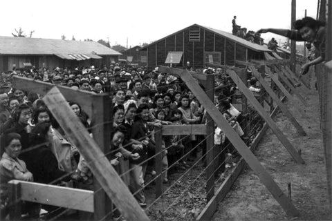 Japanese Americans in Japanese Internment Camps