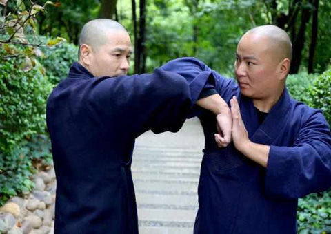 Shaolin Kung Fu