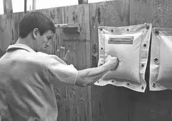 Bruce Lee Wall Bag Punching Wing Chun