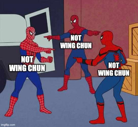 Spider Man Pointing Fingers Not Wing Chun