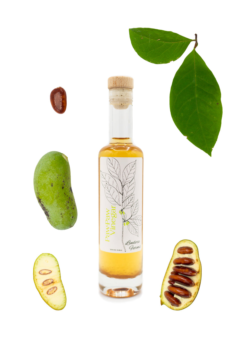 Paw-Paw Vinegar