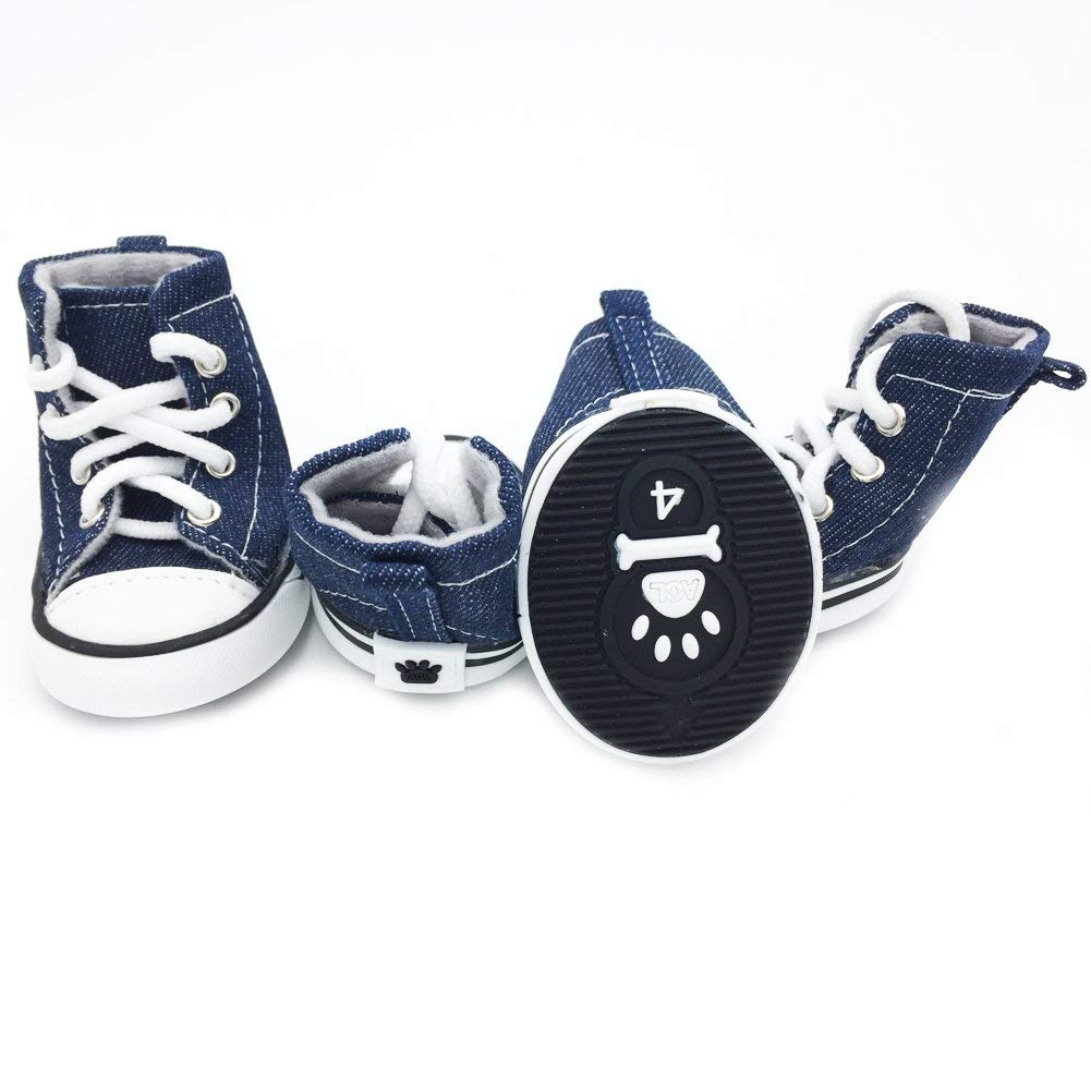 converse dog shoes