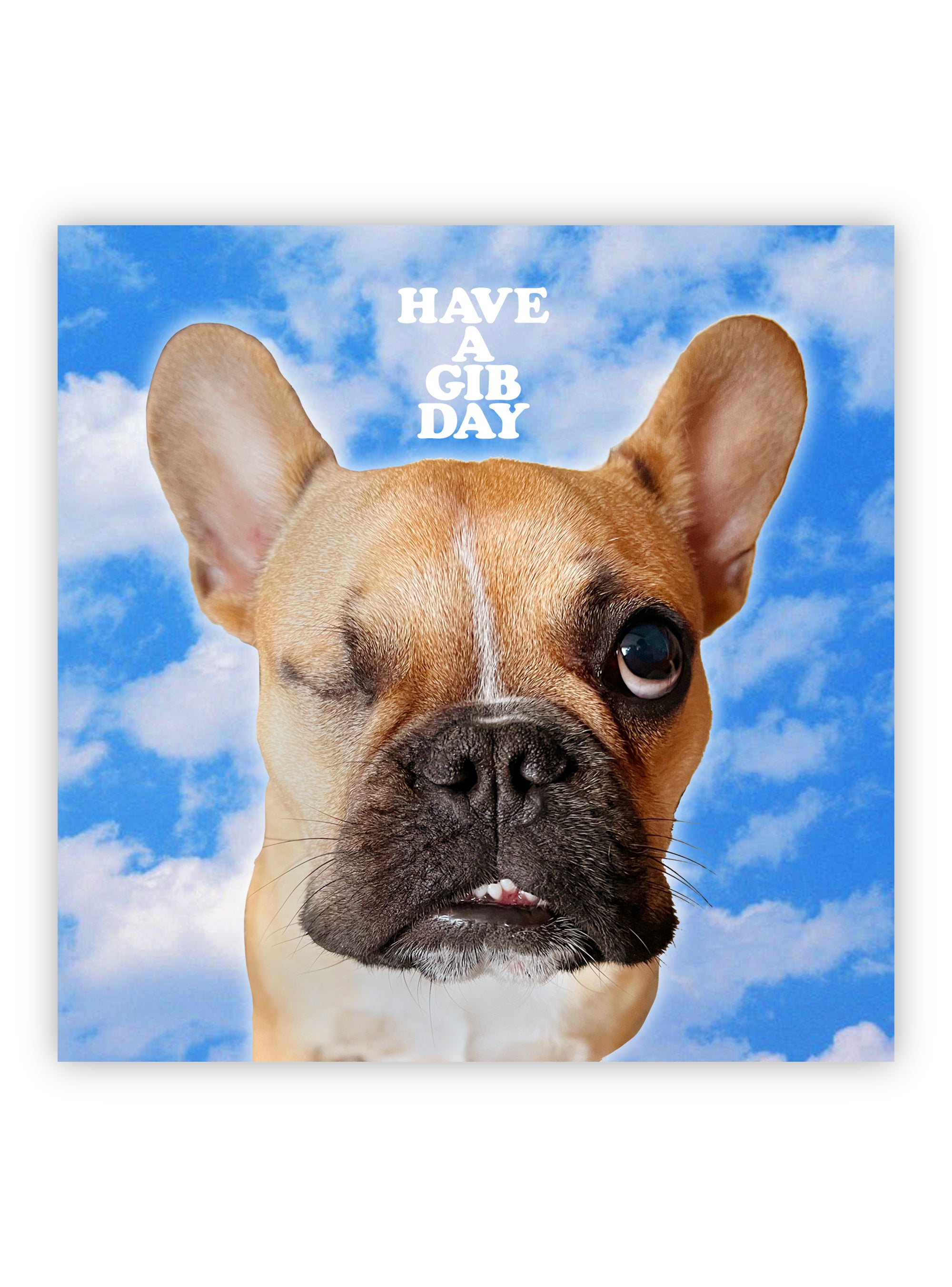 I'm Doing Frenchie Stuff Dog Tee - Club Huey