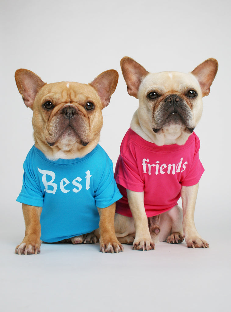 best friend ever dog hoodie